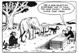 For a fair selection everybody has to take the same exam: Please climb that tree.